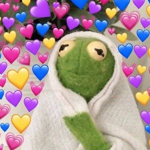 Meet your Posher, Dillon